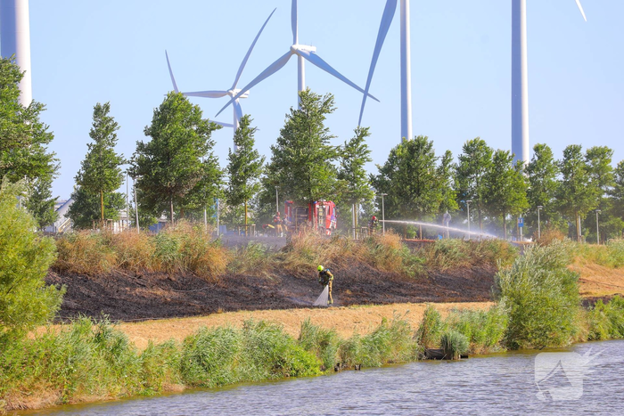 Brand in havengebied verwoest berm en bos