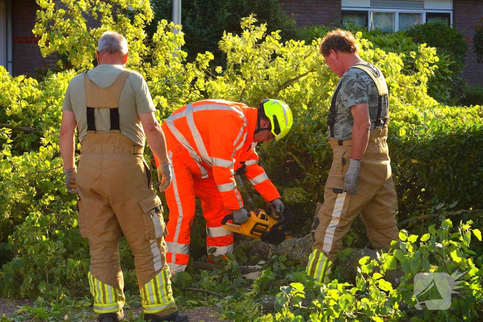 Brandweer verwijdert omgevallen boom