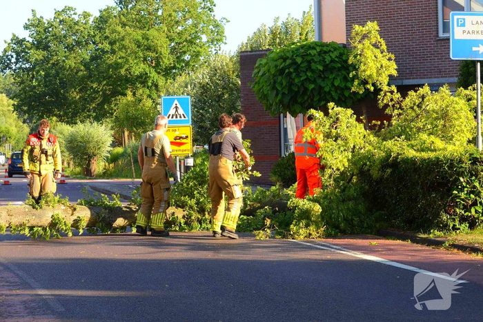 natuur grote haven haastrecht