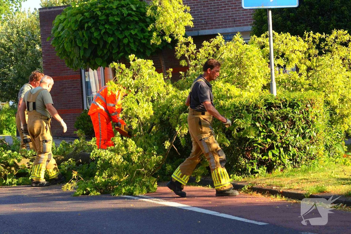 Brandweer verwijdert omgevallen boom