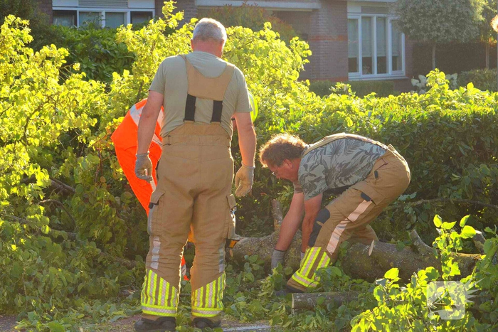 Brandweer verwijdert omgevallen boom