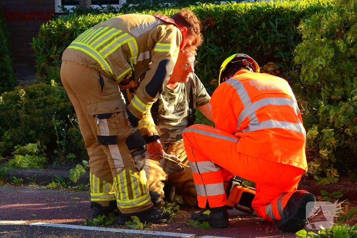 Brandweer verwijdert omgevallen boom