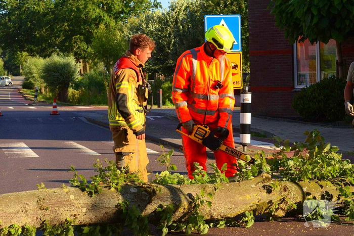Brandweer verwijdert omgevallen boom