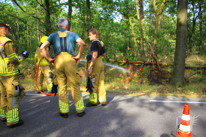Omstanders blussen brand in bosgebied