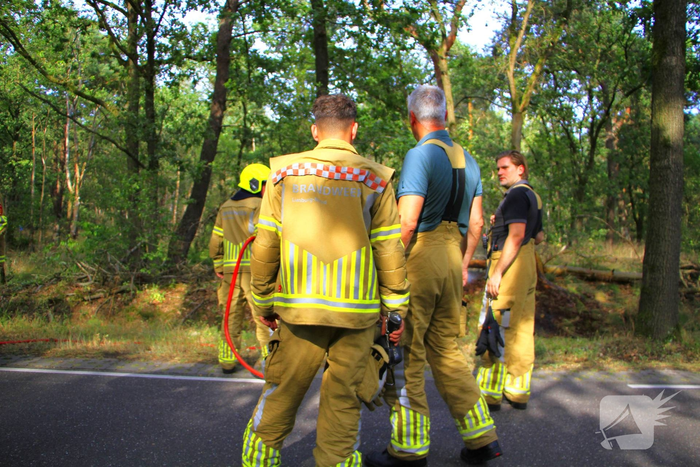 Omstanders blussen brand in bosgebied