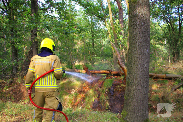 Omstanders blussen brand in bosgebied
