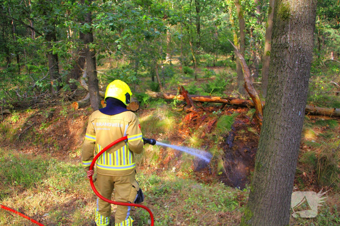 Omstanders blussen brand in bosgebied