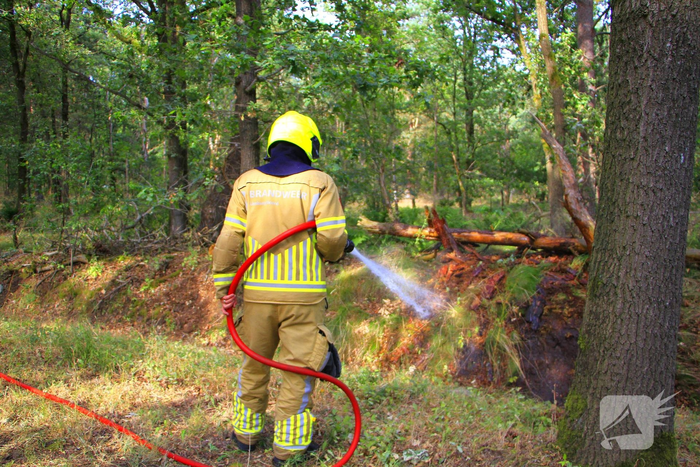 Omstanders blussen brand in bosgebied