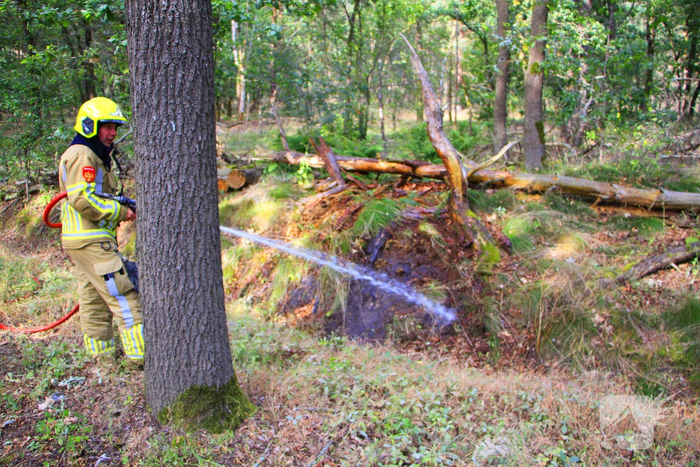 Omstanders blussen brand in bosgebied