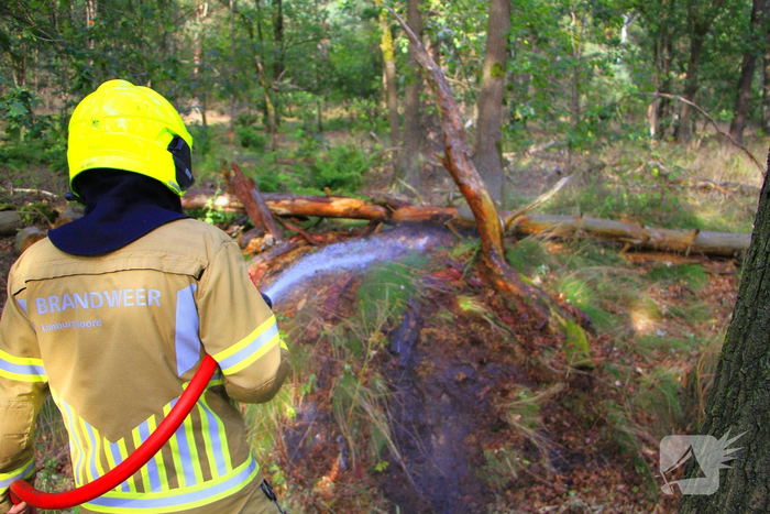 Omstanders blussen brand in bosgebied