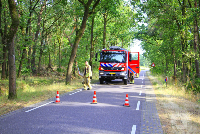 Omstanders blussen brand in bosgebied