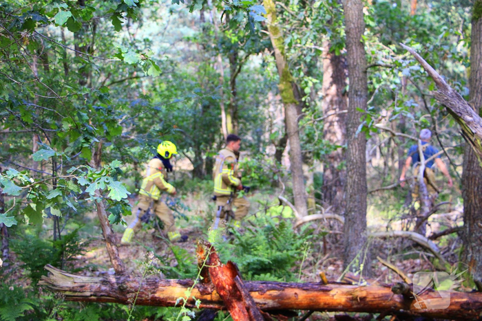 Omstanders blussen brand in bosgebied