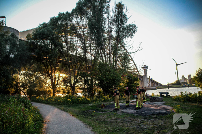 Koeien kijken toe bij buitenbrand onder de brienenoordbrug
