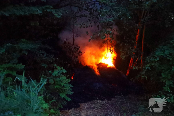 brand de gealanden leeuwarden