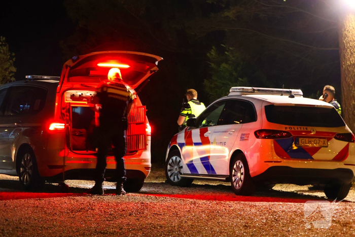 Vrouw gewond bij steekincident in café
