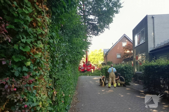 Stormschade leidt tot brandweeractie