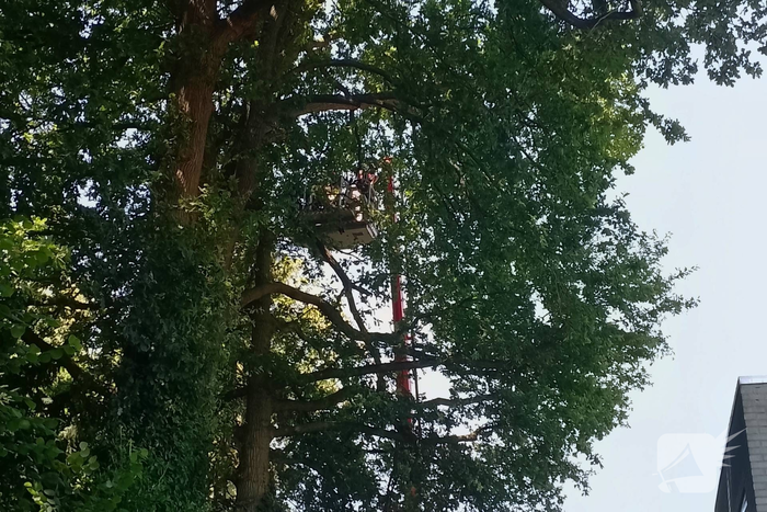 Stormschade leidt tot brandweeractie