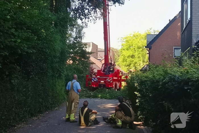 Stormschade leidt tot brandweeractie