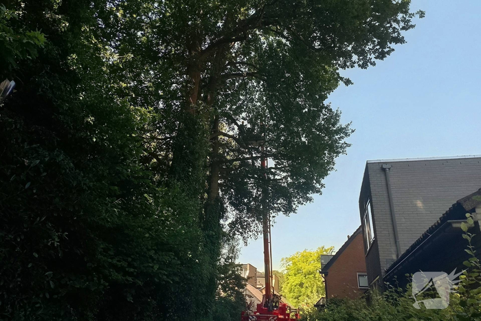 Stormschade leidt tot brandweeractie