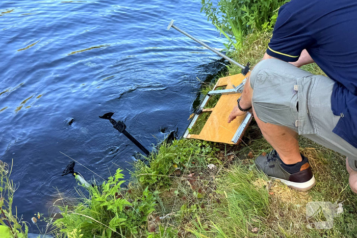 Visser komt in het water terecht