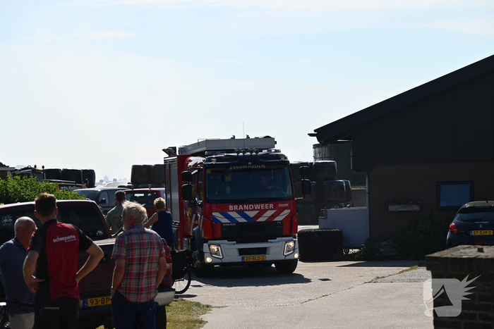 brand hegedyk wytgaard