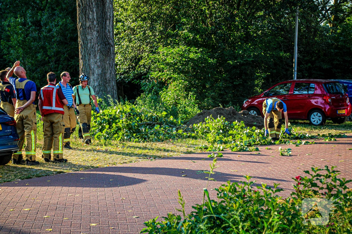 natuur valkhof sliedrecht