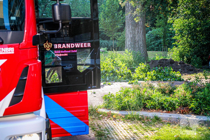 Tak valt uit boom en blokkeert weg