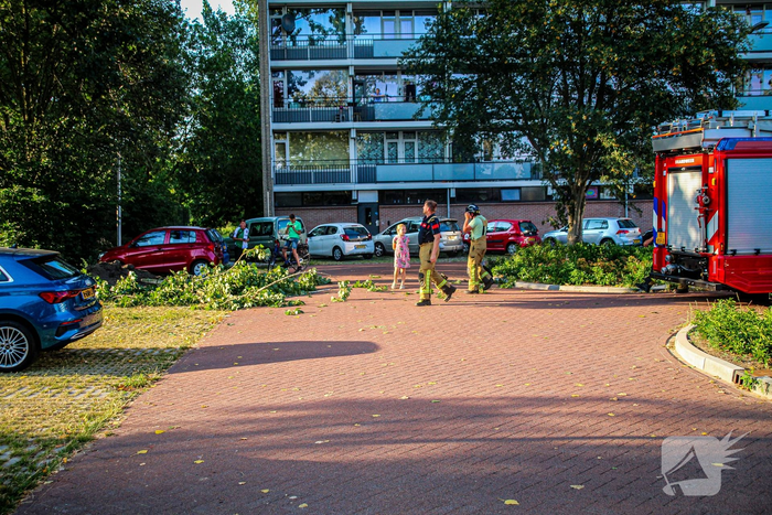 Tak valt uit boom en blokkeert weg