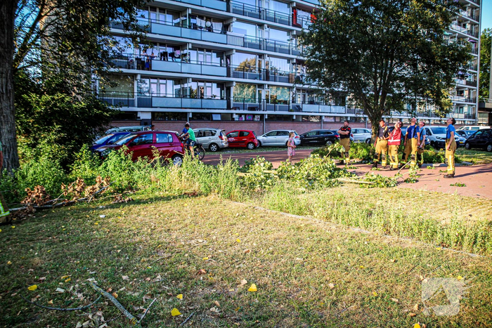 Tak valt uit boom en blokkeert weg