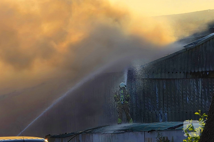 Brandweer massaal ingezet voor stal brand