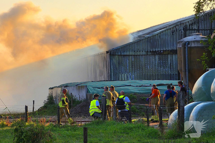 Brandweer massaal ingezet voor stal brand