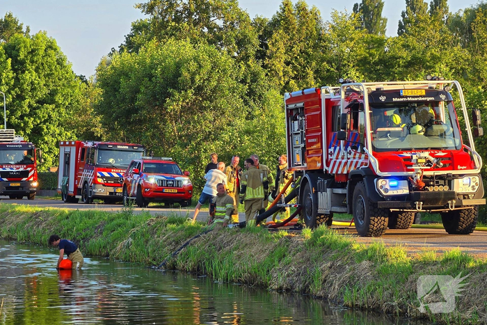 Brandweer massaal ingezet voor stal brand
