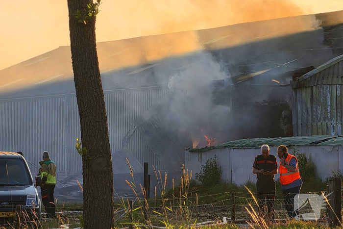 Brandweer massaal ingezet voor stal brand