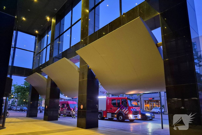 Dierenambulance haalt duif in problemen naar beneden