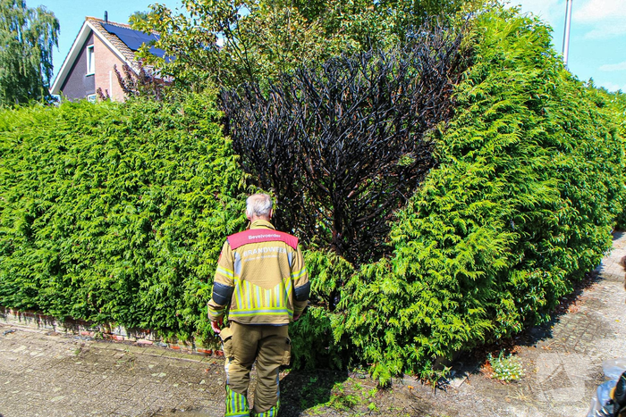 Buitenbrand in coniferenhaag geblust door bewoners