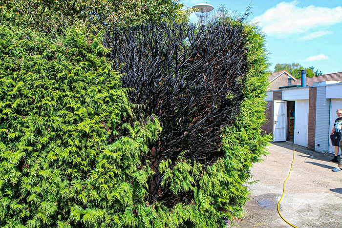 Buitenbrand in coniferenhaag geblust door bewoners