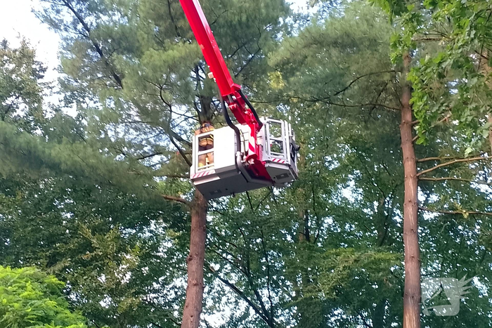 nieuws kerklaan rozendaal