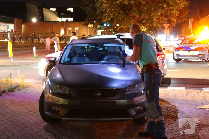 Ongeval tussen auto en hondenuitlater