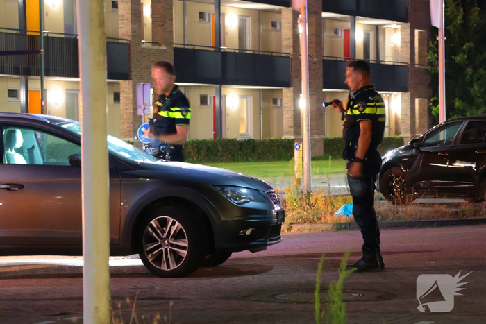 Ongeval tussen auto en hondenuitlater