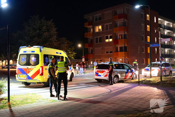 Ongeval tussen auto en hondenuitlater