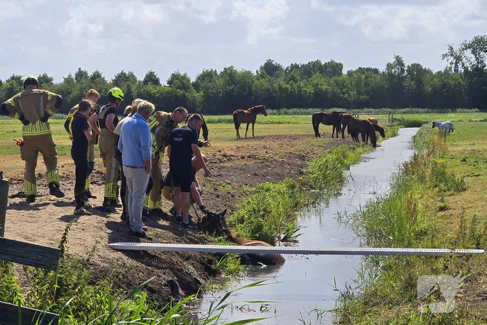 Opnieuw paard voor langere tijd vast in sloot