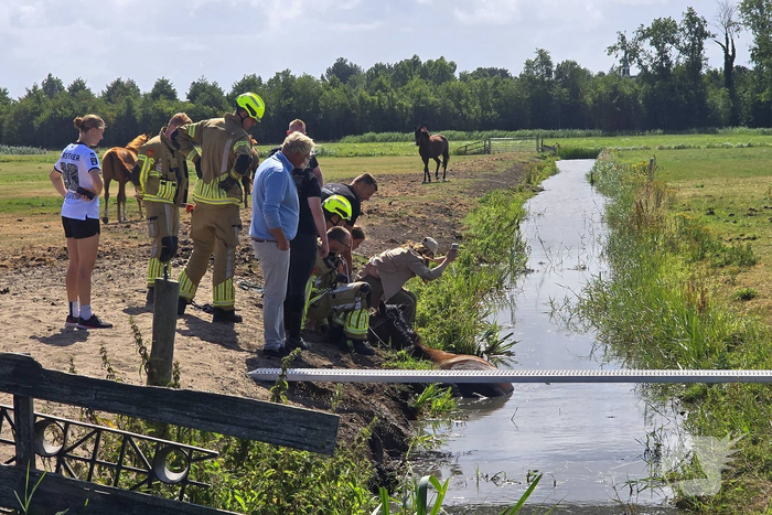 Opnieuw paard voor langere tijd vast in sloot