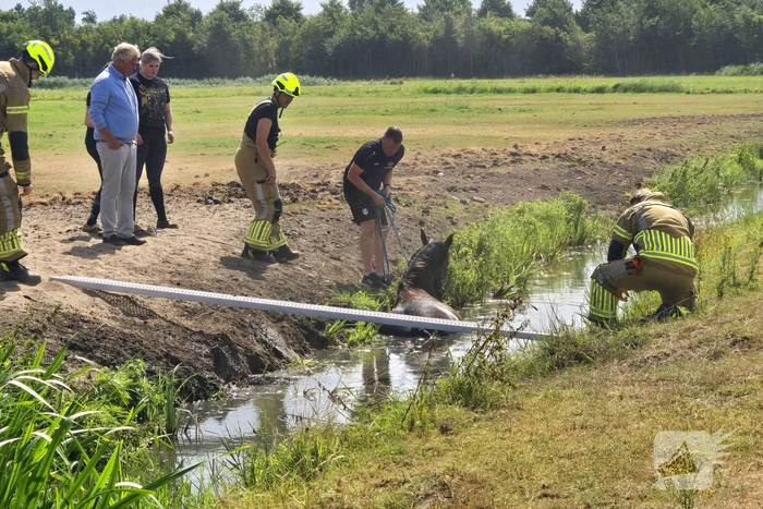 Opnieuw paard voor langere tijd vast in sloot