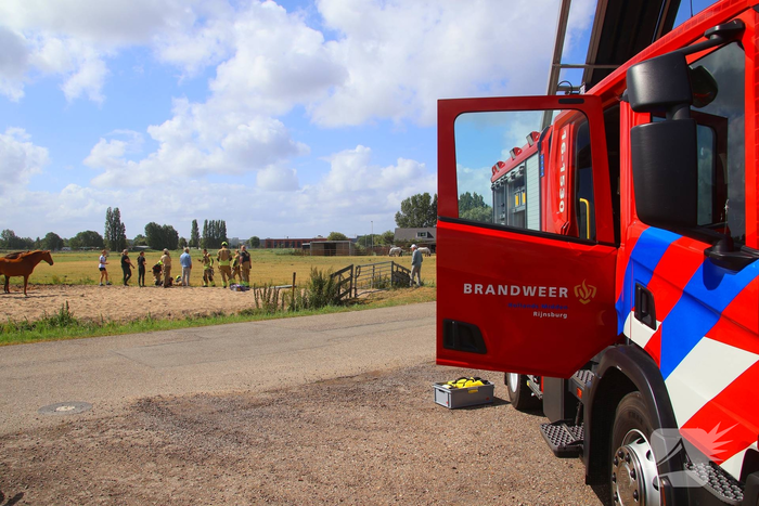 Opnieuw paard voor langere tijd vast in sloot