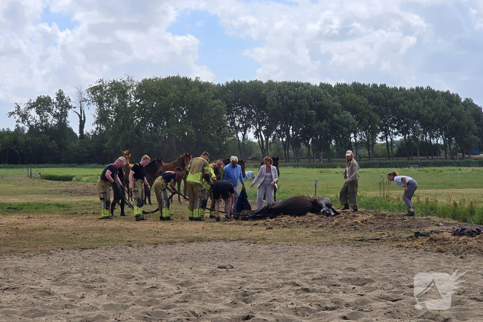 Opnieuw paard voor langere tijd vast in sloot