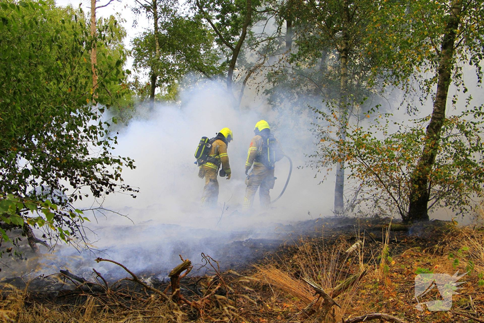 Buitenbrand in bosgebied vereist inzet van brandweer