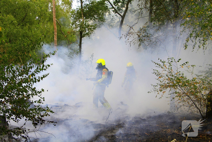 Buitenbrand in bosgebied vereist inzet van brandweer