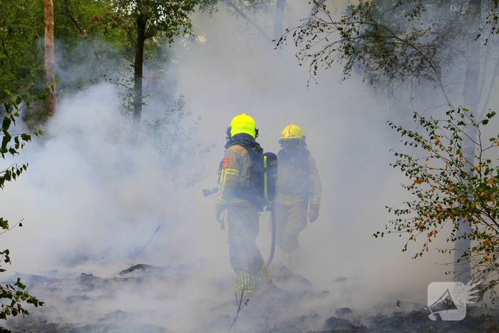 Buitenbrand in bosgebied vereist inzet van brandweer