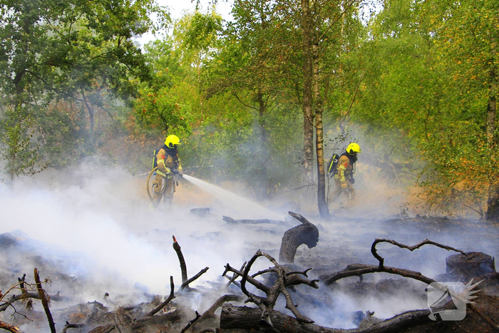 Buitenbrand in bosgebied vereist inzet van brandweer