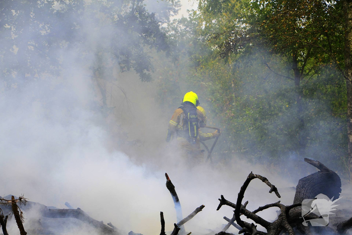 Buitenbrand in bosgebied vereist inzet van brandweer
